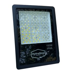 Hydro Glow 100W Above-Water LED Floodlight 120V (Color: Daylight White)